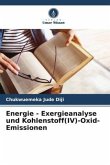 Energie - Exergieanalyse und Kohlenstoff(IV)-Oxid-Emissionen