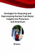 Strategies for Disposing and... - Bild 1