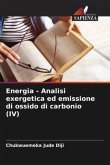Energia - Analisi exergetica ed emissione di ossido di carbonio (IV)