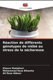 Réaction de différents génotypes de niébé au stress de la sécheresse