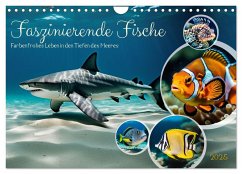 Faszinierende Fische (Wandkalender 2025 DIN A4 quer), CALVENDO Monatskalender