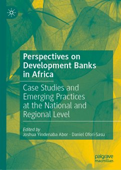 Perspectives on Development Banks in Africa (eBook, PDF)