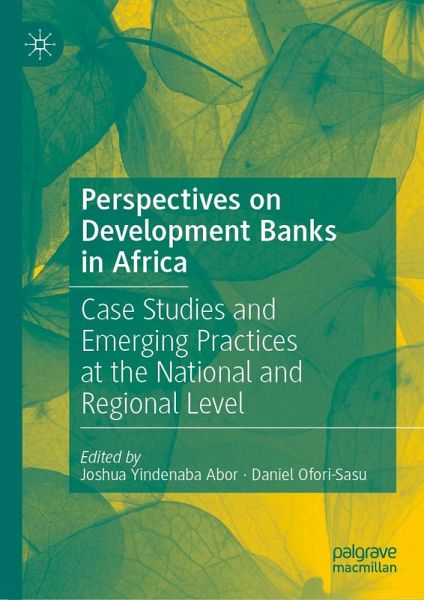 Perspectives on Development Banks in Africa (eBook, PDF)