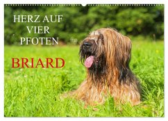 Herz auf vier Pfoten - Briard (Wandkalender 2025 DIN A2 quer), CALVENDO Monatskalender