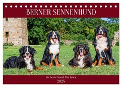 Berner Sennenhund - Der beste Freund fürs Leben (Tischkalender 2025 DIN A5 quer), CALVENDO Monatskalender