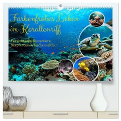 Farbenfrohes Leben im Korallenriff (hochwertiger Premium Wandkalender 2025 DIN A2 quer), Kunstdruck in Hochglanz - Calvendo;Kleemann, Claudia