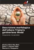 Descrizione morfologica dell'albero Triplaris gardneriana Wedd