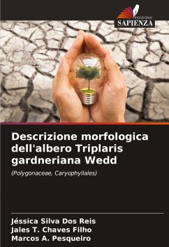 Descrizione morfologica dell'albero Triplaris gardneriana Wedd - Silva Dos Reis, Jéssica;Chaves Filho, Jales T.;A. Pesqueiro, Marcos