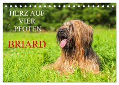 Herz auf vier Pfoten - Briard (Tischkalender 2025 DIN A5 quer), CALVENDO Monatskalender