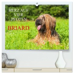 Herz auf vier Pfoten - Briard (hochwertiger Premium Wandkalender 2025 DIN A2 quer), Kunstdruck in Hochglanz