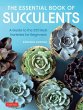 The Essential Book of Succulents - Bild 1
