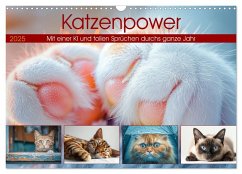 Katzenpower (Wandkalender 2025 DIN A3 quer), CALVENDO Monatskalender