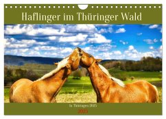 Haflinger im Thüringer Wald (Wandkalender 2025 DIN A4 quer), CALVENDO Monatskalender