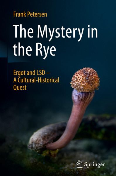 The Mystery in the Rye The Mystery in the Rye