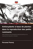 Antioxydants à base de plantes dans la reproduction des petits ruminants