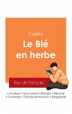 Réussir son Bac de français 2025 : Analyse du Blé en herbe de Colette