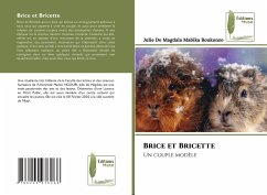 Cover Brice et Bricette