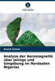 Analyse der Aeromagnetik über Jalingo und Umgebung im Nordosten Nigerias