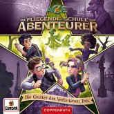 Folge 6: Die Geister des verbotenen Tals (MP3-Download) Folge 6: Die Geister des verbotenen Tals (MP3-Download)