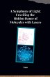 A Symphony of Light: Unveiling the... - Bild 1
