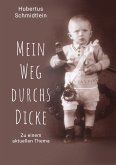 Mein Weg durchs Dicke (eBook, ePUB)