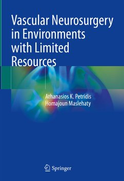 Vascular Neurosurgery in Environments with Limited Resources (eBook, PDF) - Petridis, Athanasios K.; Maslehaty, Homajoun