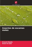 Insectos de escamas moles