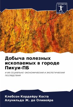 Cover Dobycha poleznyh iskopaemyh w gorode Pikui-PB