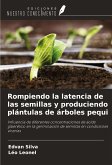 Rompiendo la latencia de las semillas y produciendo plántulas de árboles pequi