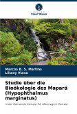 Studie über die Bioökologie des Mapará (Hypophthalmus marginatus)