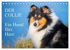 Der Collie - ein Hund fürs Herz (Tischkalender 2025 DIN A5 quer), CALVENDO Monatskalender