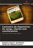 Cachoeiro de Itapemirim: its songs, charms and counterpoints