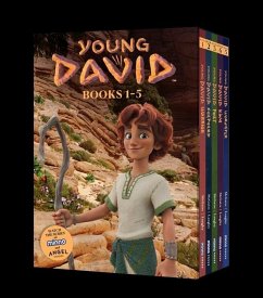 Young David Series Box Set - McGuire, Andy