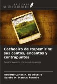 Cachoeiro de Itapemirim: sus cantos, encantos y contrapuntos