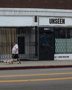 Cover Unseen