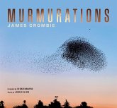 Murmuration Murmuration