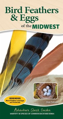 Bird Feathers & Eggs of the Midwest - Tekiela, Stan