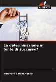 La determinazione è fonte di successo?