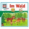 11: Im Wald (MP3-Download) - Bild 1