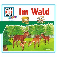 11: Im Wald (MP3-Download) - Wilhelmi, Friederike