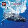 13: Wale & Delfine / Geheimnis Tiefsee... - Bild 1