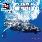 13: Wale & Delfine / Geheimnis Tiefsee (MP3-Download)