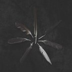 Dust And Disquiet (Emerald Green And White)