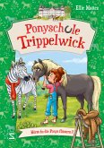 Hörst du die Ponys flüstern? / Ponyschule Trippelwick Bd.1 (Mängelexemplar)