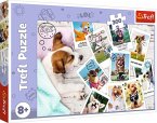 Puzzle 300 - Hunde Urlaubsfotos
