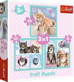 3 in 1 Puzzle - Katzen