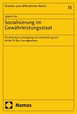 Sozialisierung im Gewährleistungsstaat (eBook, PDF)