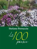 Le poesie di Stefano Perruccio - 100 poesie scelte quasi a caso (eBook, PDF)