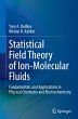 Statistical Field Theory of... - Bild 1