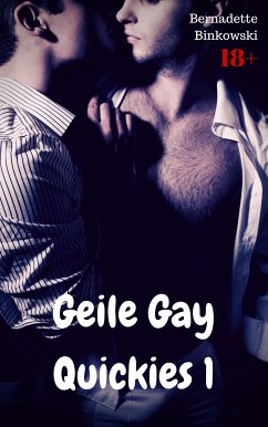 Geile Gay Quickies 1 (eBook, ePUB) - Binkowski, Bernadette